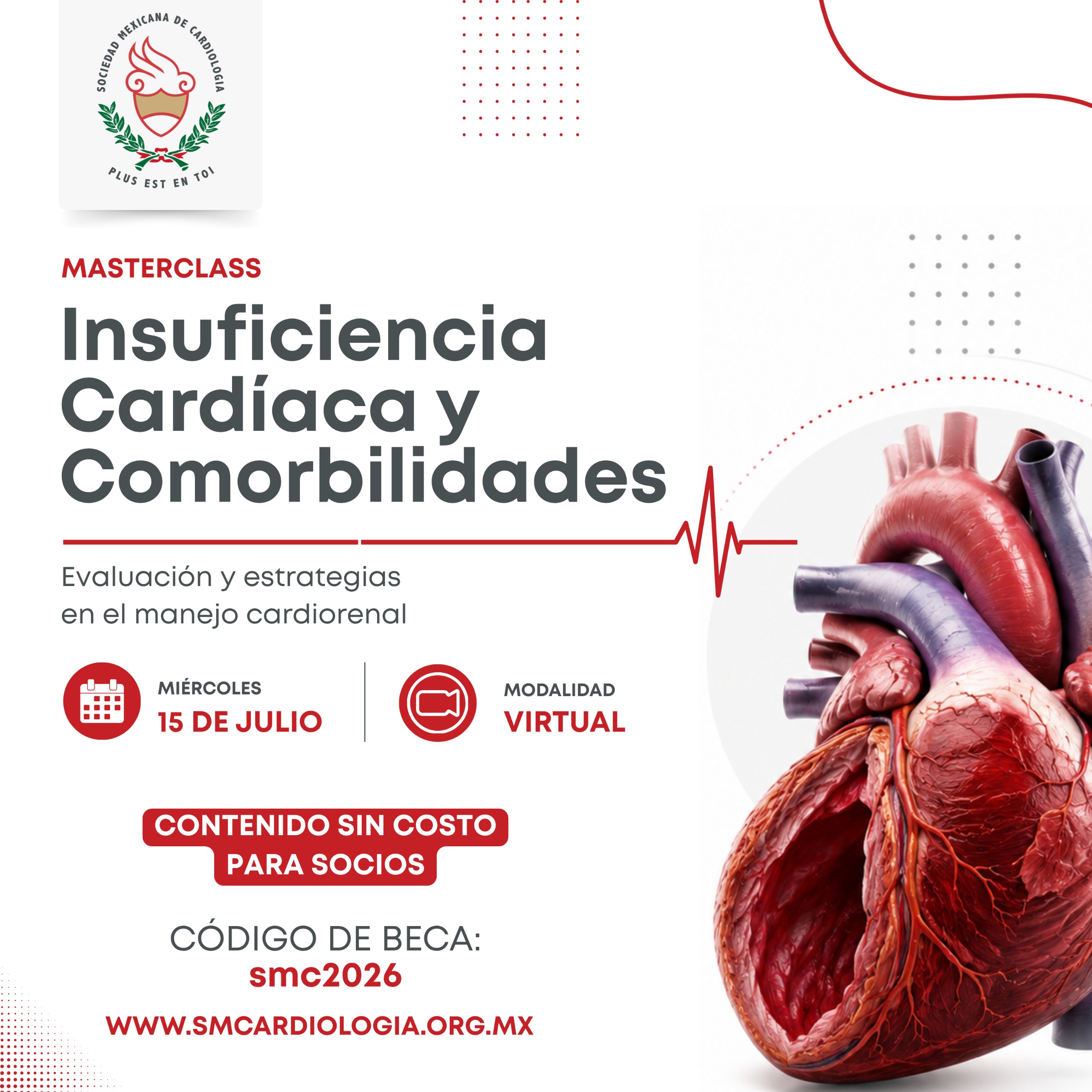 Curso Insuficiencia Cardiaca